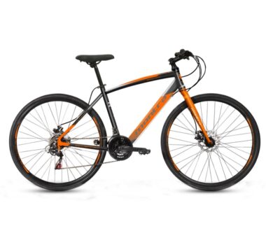 Giant Roam 2 Disc Ridersinc