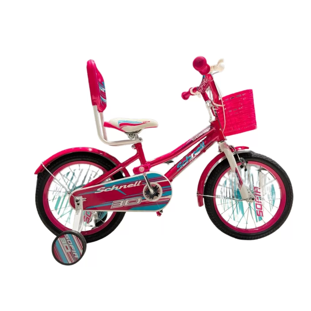 Sofia the first bike with best sale training wheels